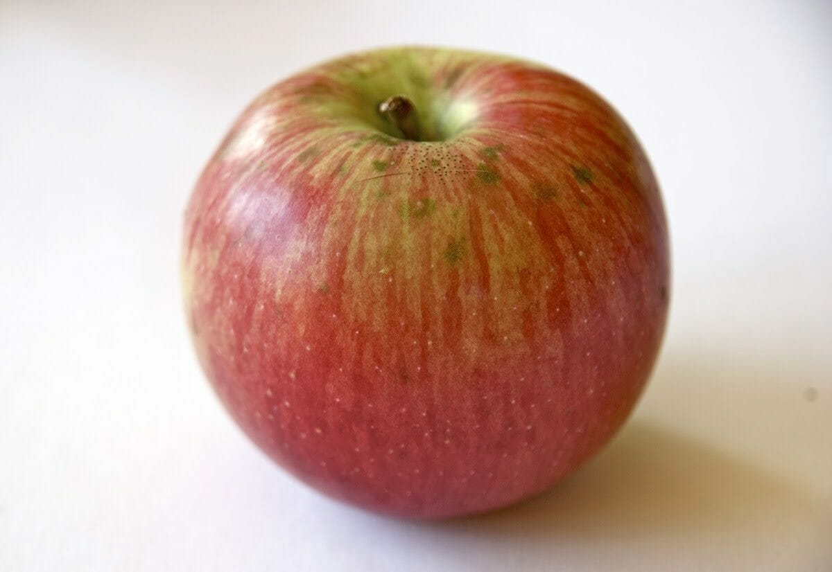 WEALTHY APPLE » Sterling Mercantile